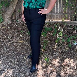 Lane Bryant Ponte Pants